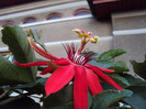 DSC00899