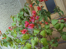 DSC01034