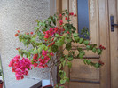 DSC01035