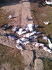 IMAG0646