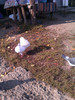 IMAG0647