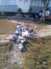 IMAG0650