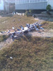 IMAG0651