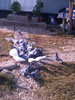 IMAG0652