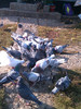 IMAG0653