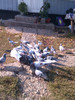 IMAG0654