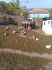IMAG0655