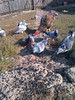 IMAG0673