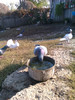 IMAG0668