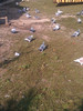 IMAG0594