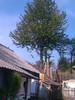 IMAG0596