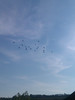 IMAG0597