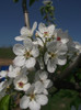 DSCF0803