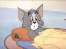 Tom si Jerry