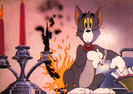 Tom si Jerry