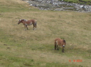 DSC02776