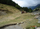 DSC02979