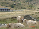 DSC02980