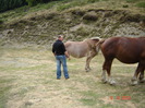 DSC02985