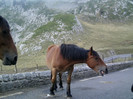 IMAG0060