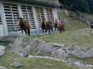 IMAG0068