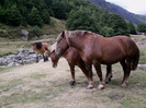 IMAG0209