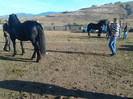 Photo0332