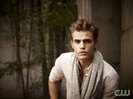 TVD (29)