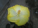 P04-10-12_10.58[1]