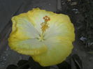 P04-10-12_10.58[2]