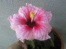 P04-10-12_12.56[1]