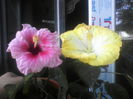 P04-10-12_12.56[2]