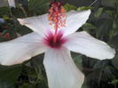 P08-10-12_13.56[1]