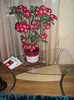 DSC01054