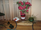 DSC01057