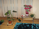 DSC01058