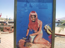 DSC03028