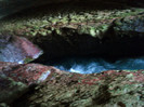 DSC02805