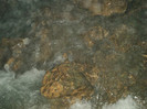 DSC02819