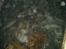 DSC02820