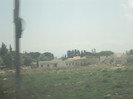 DSC02920