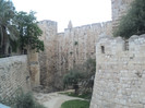DSC03095