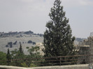 DSC03100