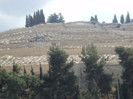 vedere spre muntele maslinilor, acum cel mai mare cimitir din Israel, unde mortii asteapta venirea l