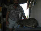 tineret 2012