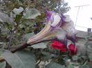 P290912_21.33_[01]