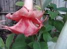 P300912_21.38_[02]