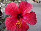 P021012_07.36_[03]