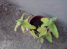 P021012_07.45_[03]