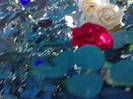 P031012_22.57_[05]